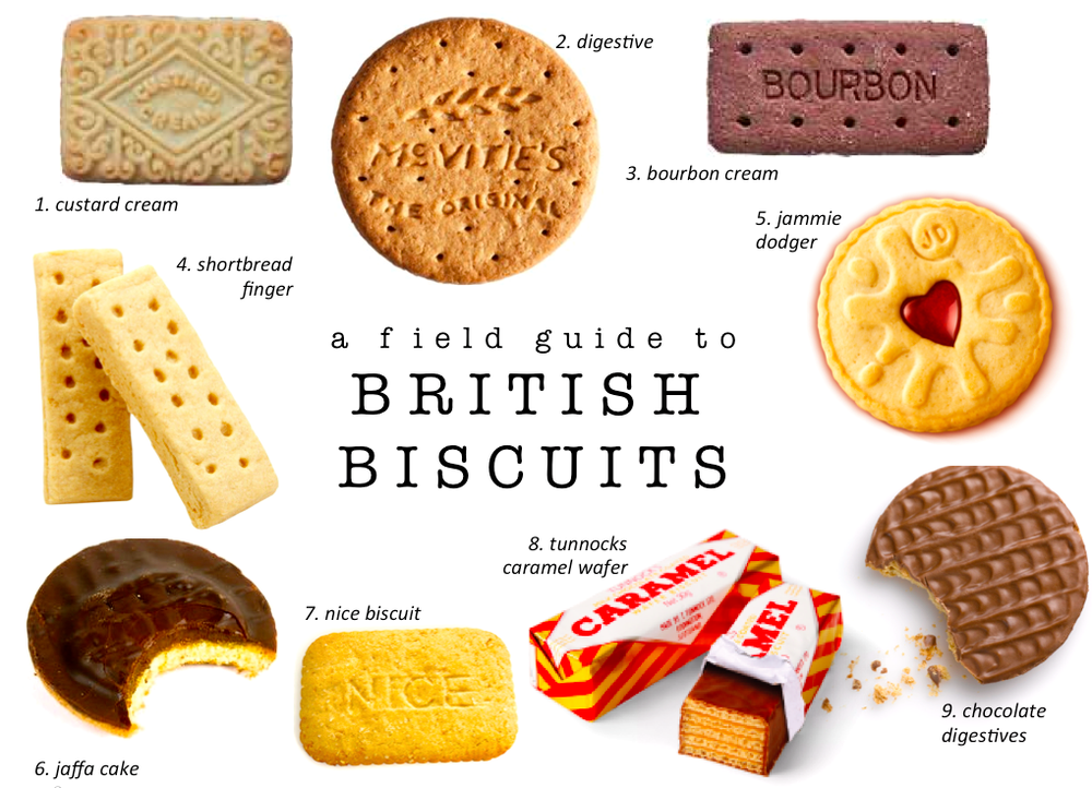 guide biscuits