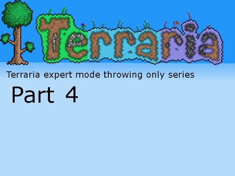 guide to expert throwing terraria