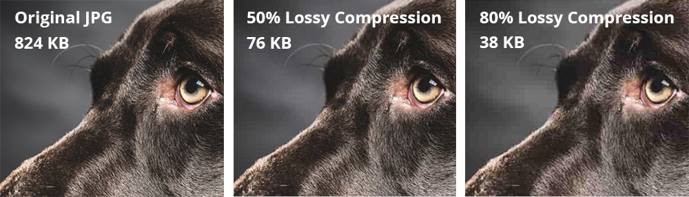 lossy and lossless compression pdf