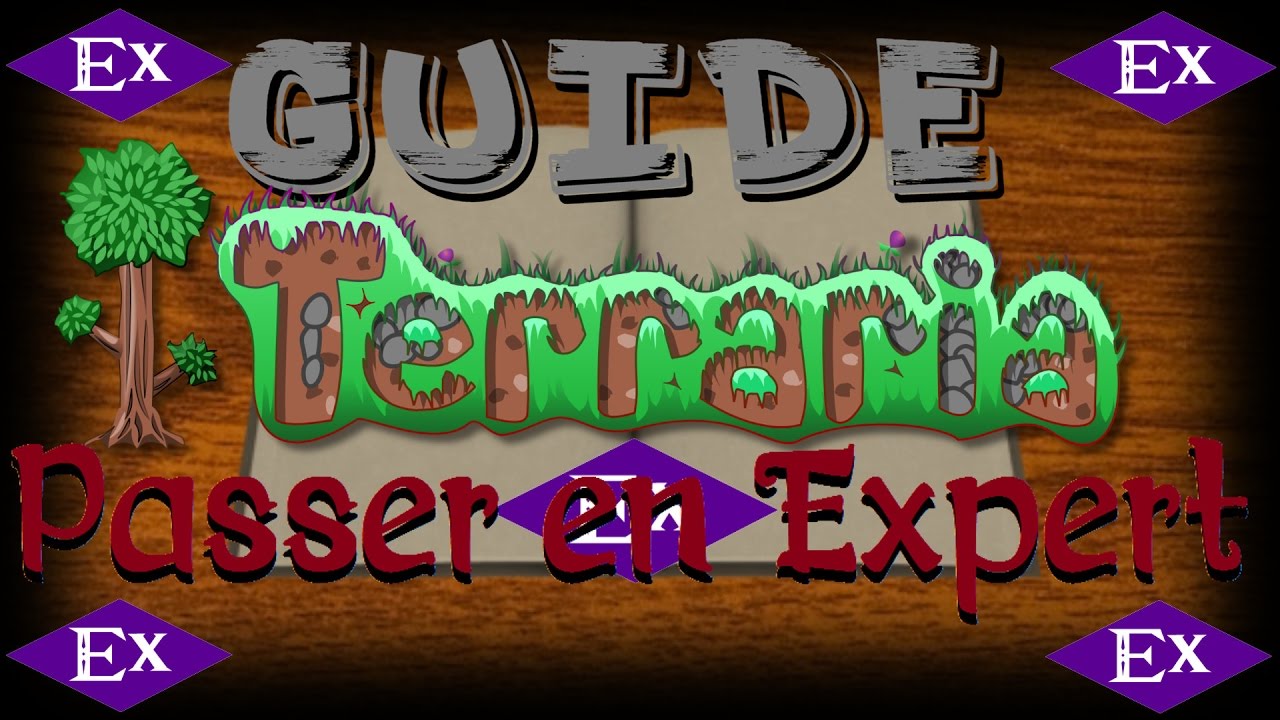 guide to expert throwing terraria